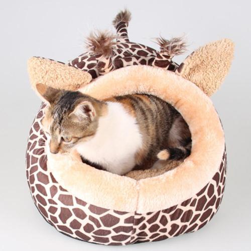A Cat Bed With A Difference!