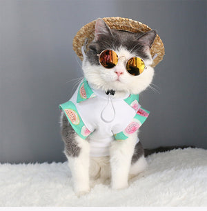 Pet Sunglasses A Cool Look For Summer 2018!