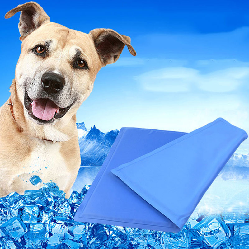 Cool Cat!! Cooling Mat For Cats & Dogs
